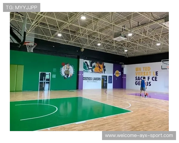 篮球场馆夜间安保智能化改造资金申请指南，篮球馆维护